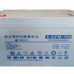 固定閥控鉛酸蓄電池 6-GFM-100